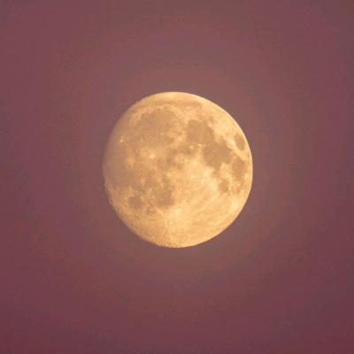 美月球着陆器“奥德修斯”未能再次“醒来” 已永久休眠